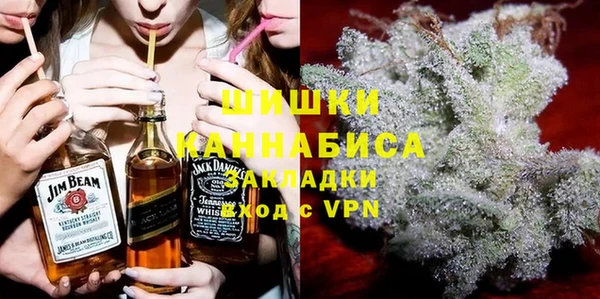 шишки Аркадак