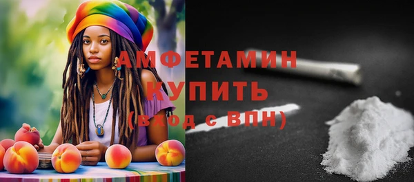 индика Осташков