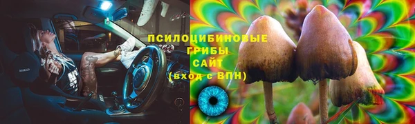 сатива Армянск