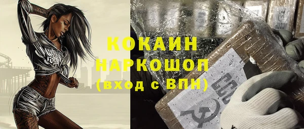 шишки Аркадак