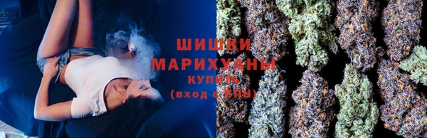 сатива Армянск
