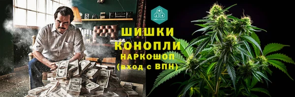 шишки Аркадак