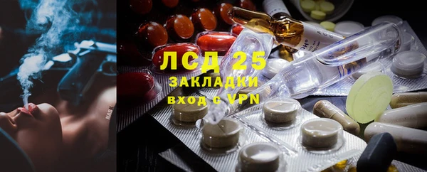 сатива Армянск